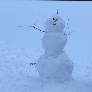 Meet your Posher, Bridget